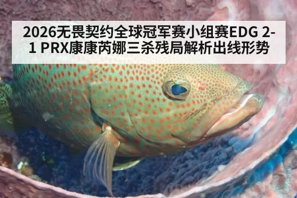2026无畏契约全球冠军赛小组赛EDG 2-1 PRX康康芮娜三杀残局解析出线形势